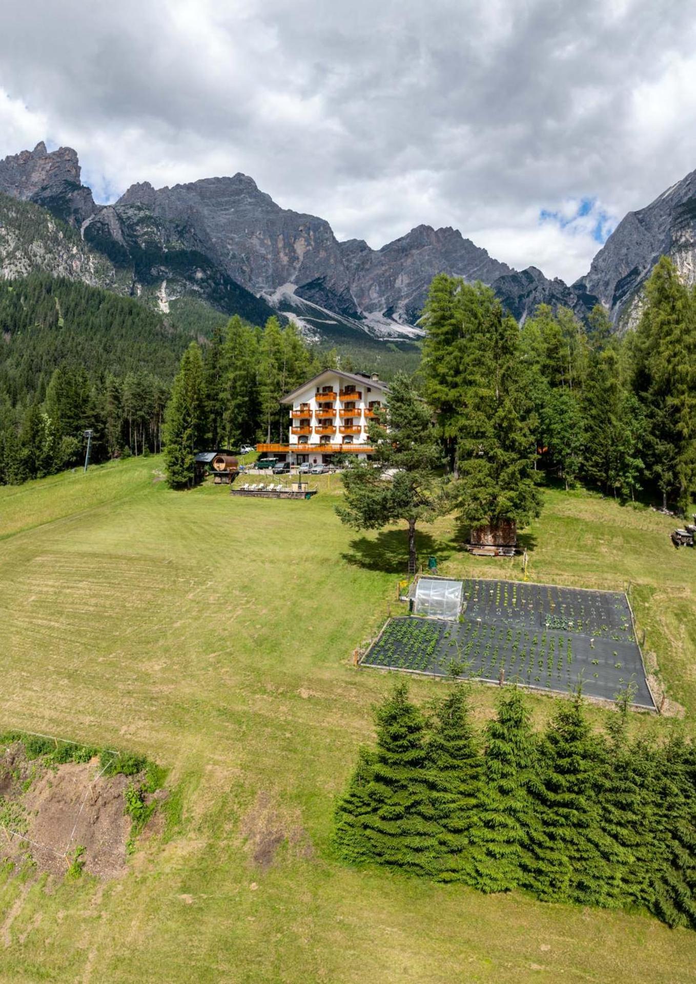 Hotel Il Cardo San Vito di Cadore Dış mekan fotoğraf