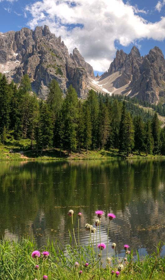 Hotel Il Cardo San Vito di Cadore Dış mekan fotoğraf