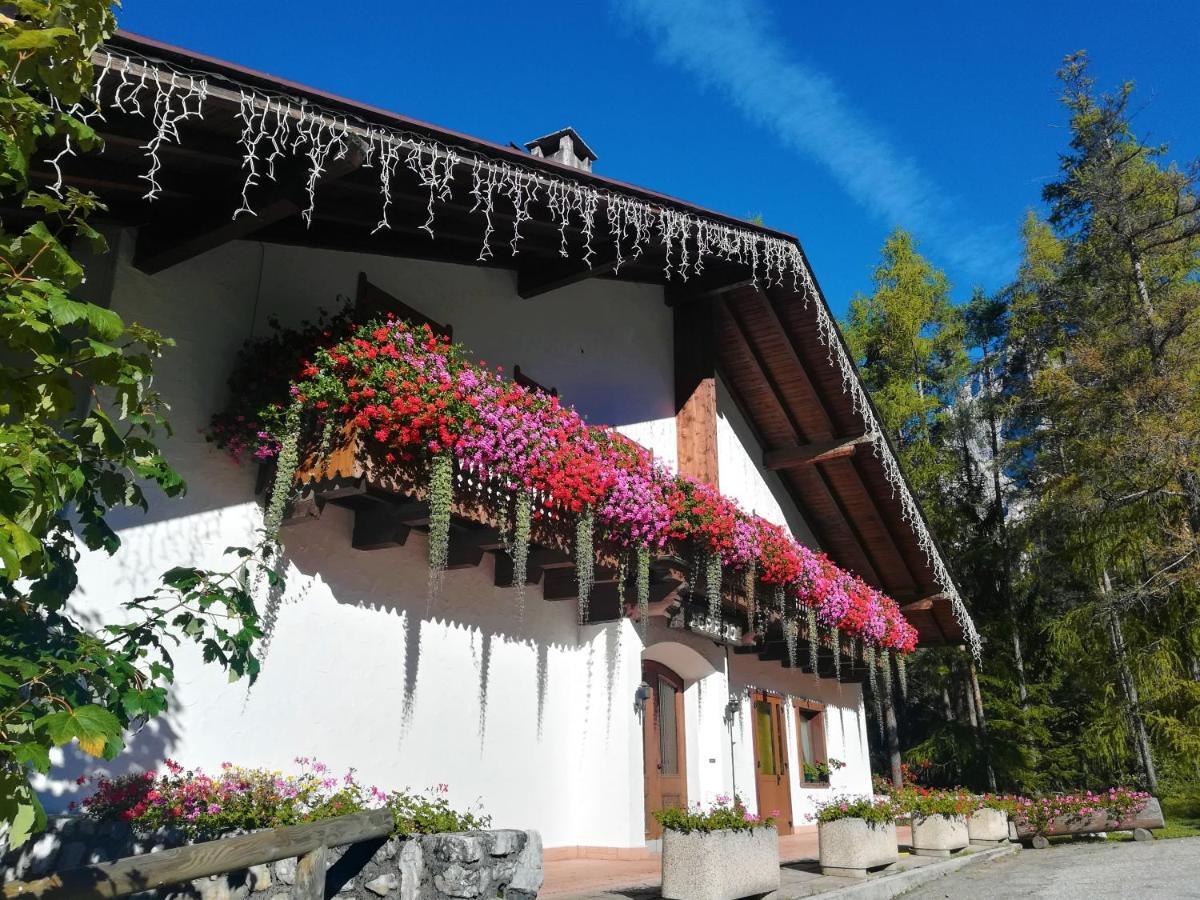 Hotel Il Cardo San Vito di Cadore Dış mekan fotoğraf